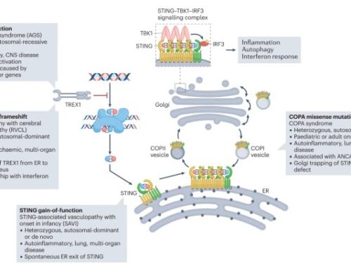 A path towards personalized medicine for autoinflammatory and related diseases