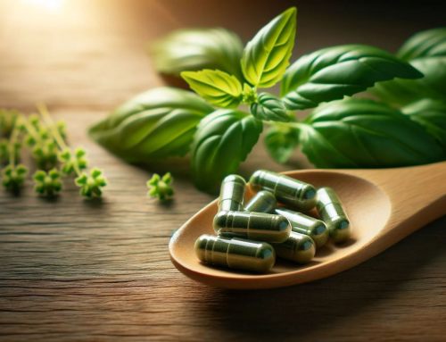 Harnessing Holy Basil for Stress Relief and Hormonal Regulation in Endocrine Health
