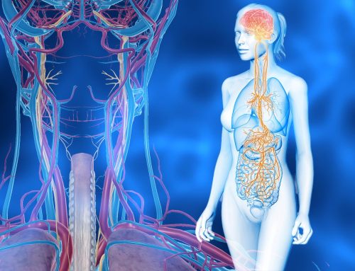 Why is the Vagus Nerve Important to Physical and Mental Health?