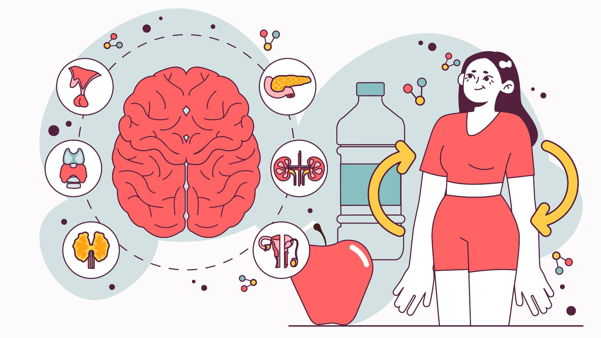 Bioglutide NA-931 Capsules Undergo metabolic changes | Shaanxi BLOOM Tech Co., Ltd Bioglutide NA-931 Capsules Undergo metabolic changes | Shaanxi BLOOM Tech Co., Ltd