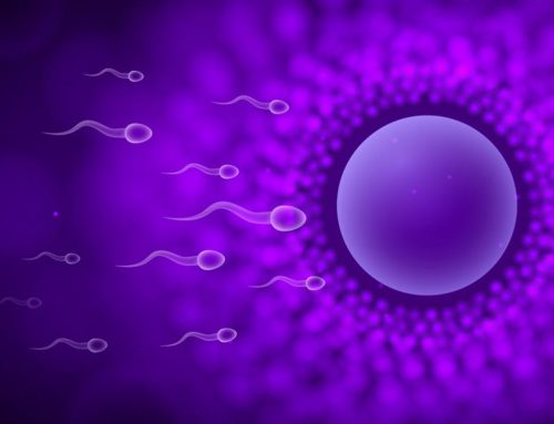 Improving Fertility Through Modifiable Lifestyle Factors & Nutrigenomics