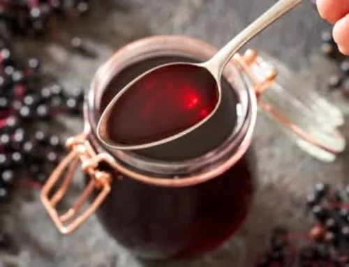 5 Ways Elderberry May Promote Overall Health and Wellness