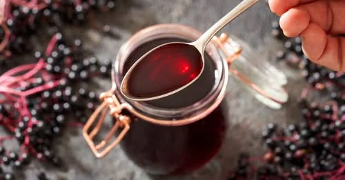 Elderberry Health and Wellness