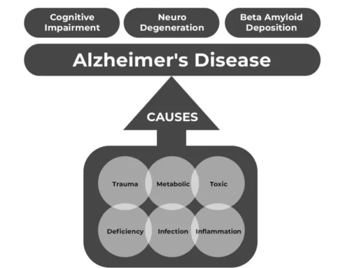 Microplastics and Cognitive Decline: The Hidden Root Cause Your Brain Health Program Must Address