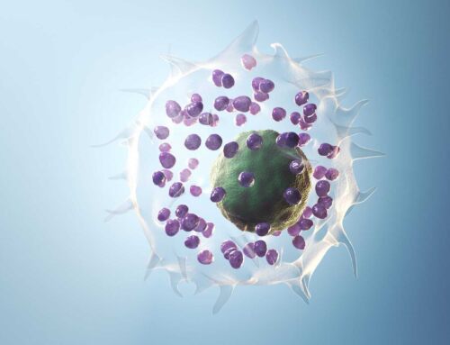 Mast Cell Activation Syndrome: The Hidden Culprit Behind Mysterious Multi-System Symptoms