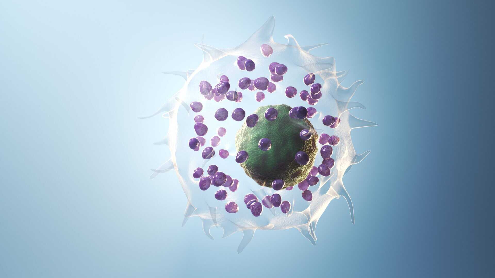 Mast Cell Activation Syndrome