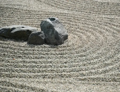 Why Gratitude Might Be the Most Underrated Longevity Tool